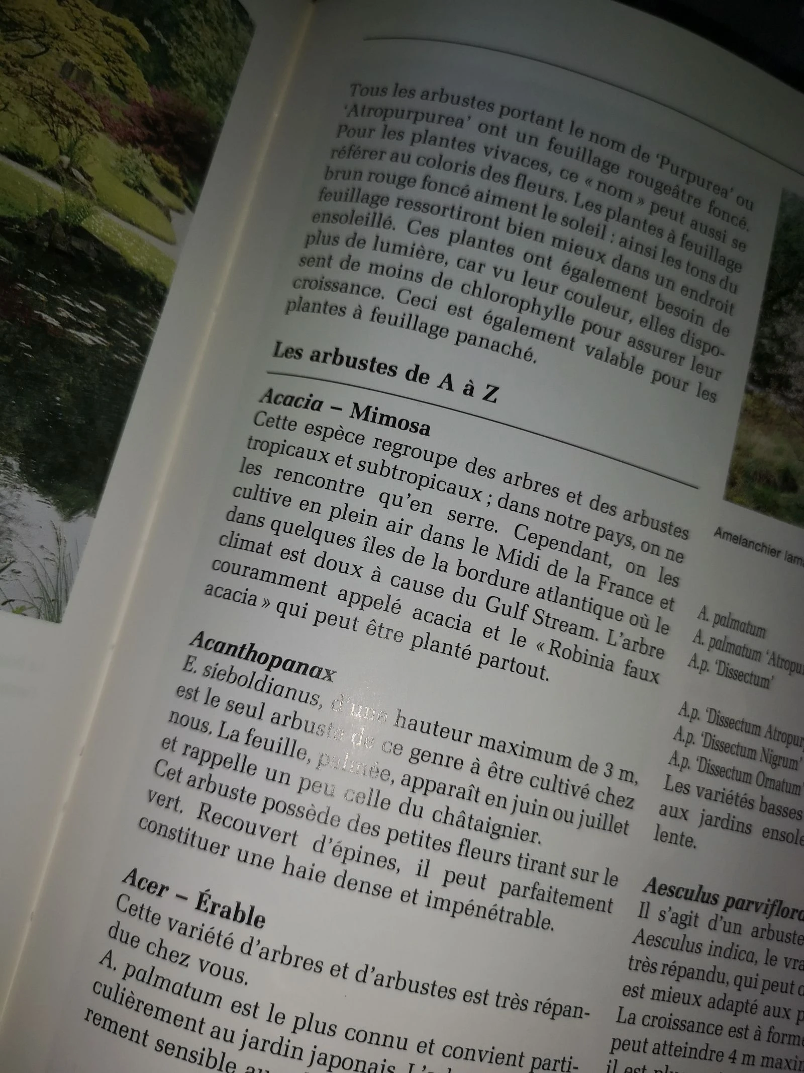 Tuinieren gids – photo 10